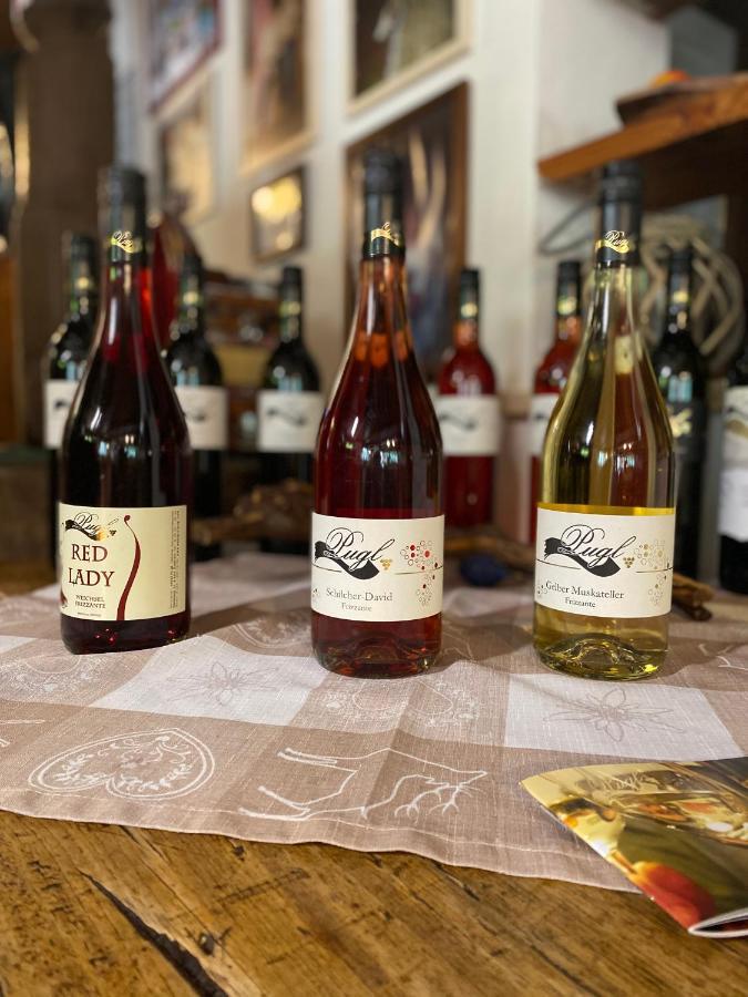 شقة Weingut Pugl ليبنيتز المظهر الخارجي الصورة