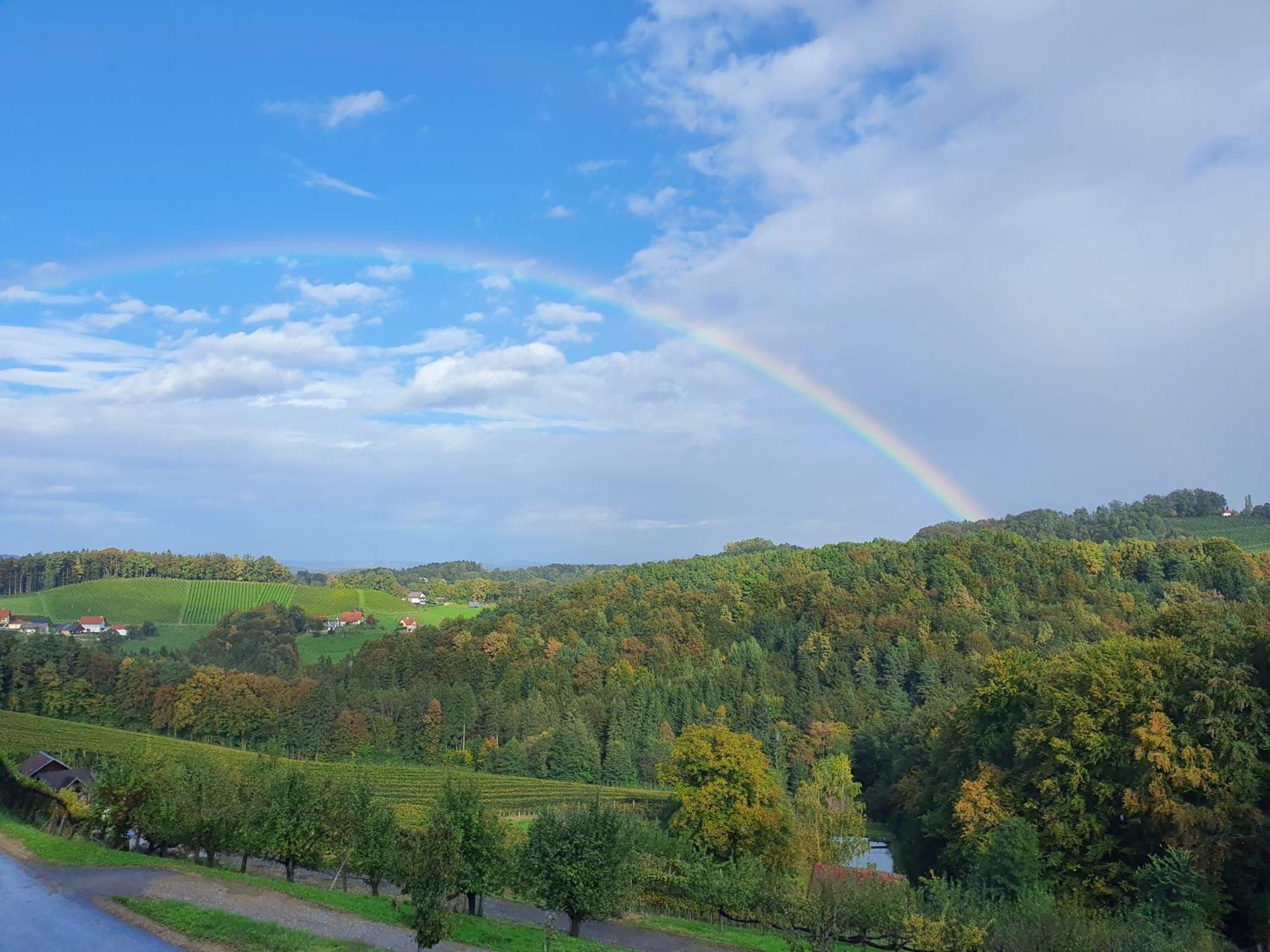 شقة Weingut Pugl ليبنيتز المظهر الخارجي الصورة